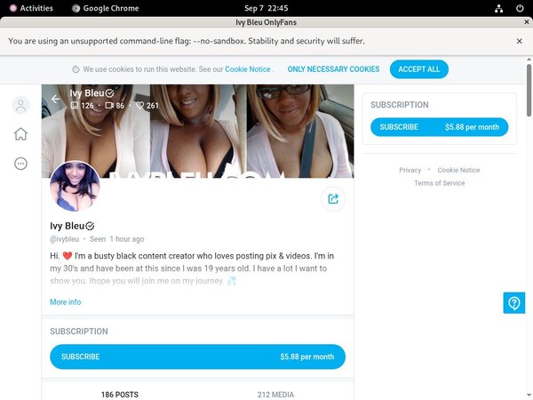 Account Premium Ivy Bleu