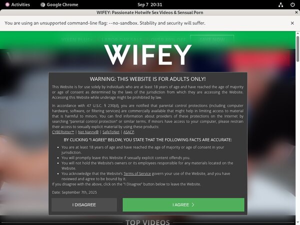 Accounts Wifey Free