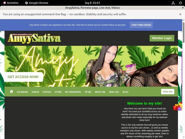 Amyysativa Access Free Amyysativa Access Free