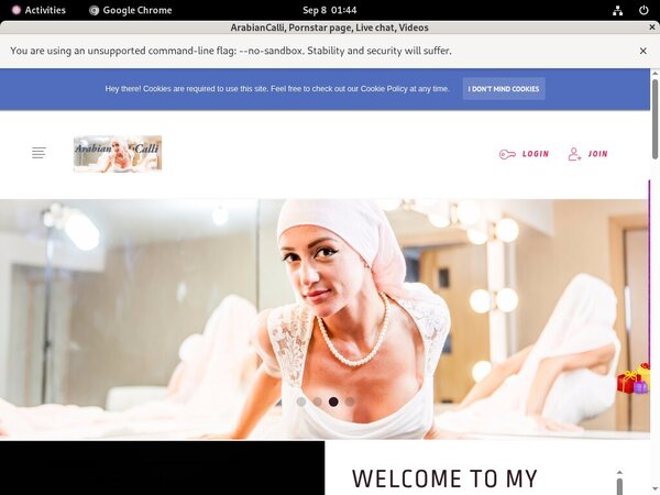 ArabianCalli Discount Logins ArabianCalli Discount Logins