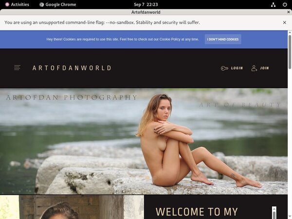 Artofdan Porn Password