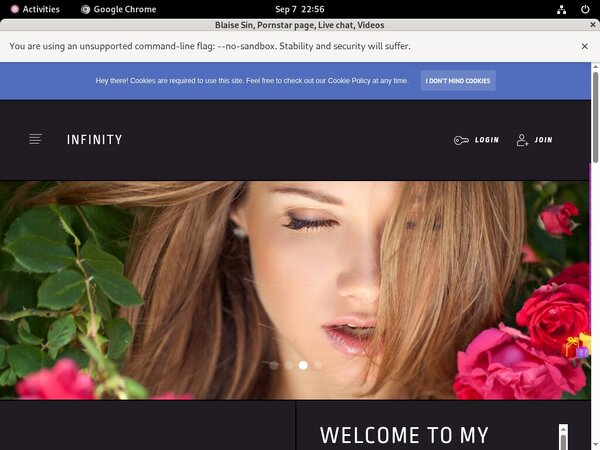 Blaise Sin Discount Site