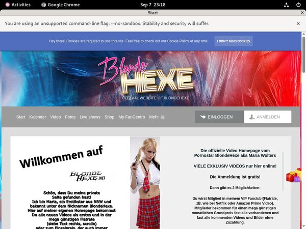 BlondeHexe Allow Paypal