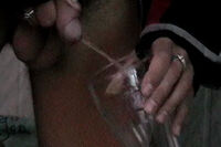 Boys Pissing Freeones s2