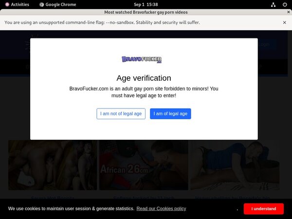 Bravo Fucker Latest Passwords
