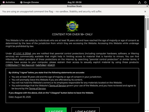 Brazilian Studz Premium Free Account