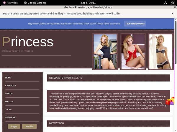 Cardboard Sex Movies