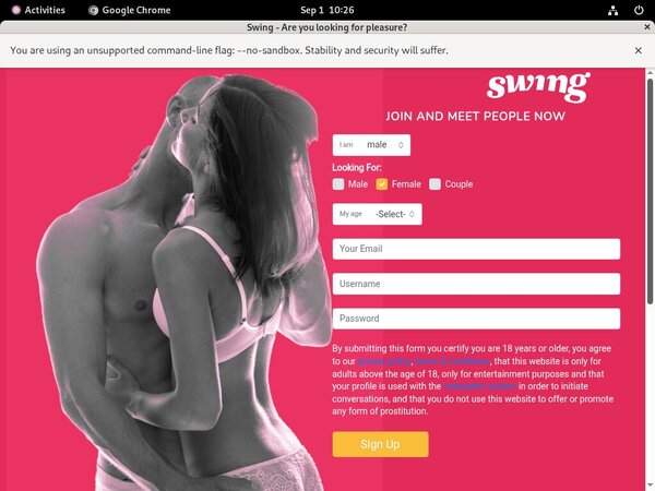 Download Swing.net