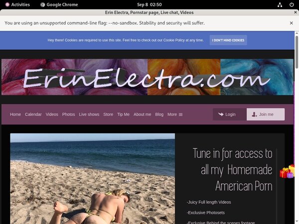 Erinelectra.com Account Info