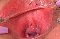 Free Gape My Pussy Hacked Passwords s2 Free Gape My Pussy Hacked Passwords s2