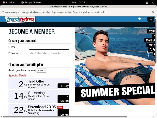 French-twinks.com Site