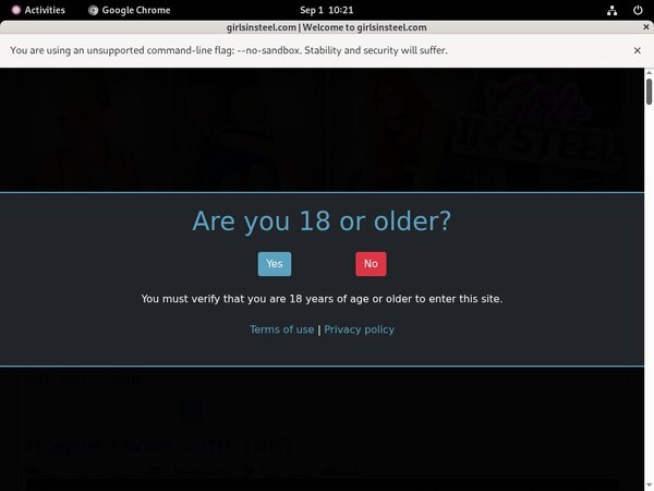 Girlsinsteel.com Password Login