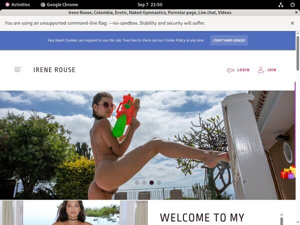 Irene Rouse Paypal Payment