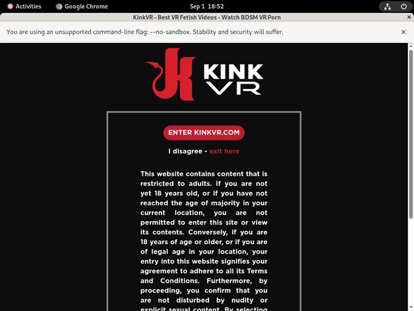 Kink VR Join Link