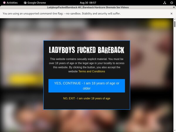 Ladyboys Fucked Bareback Tv