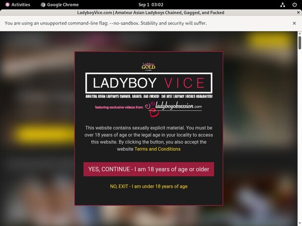 Ladyboyvice.com Trial Offer