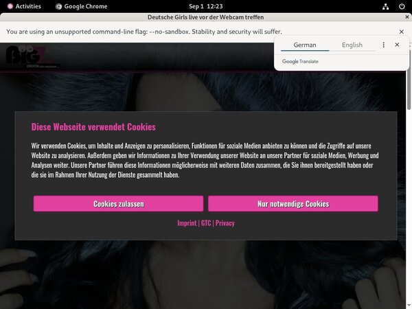 Lanagiselle.tv Coupons