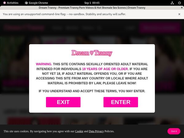 Limited Dreamtranny.com Discount Deal