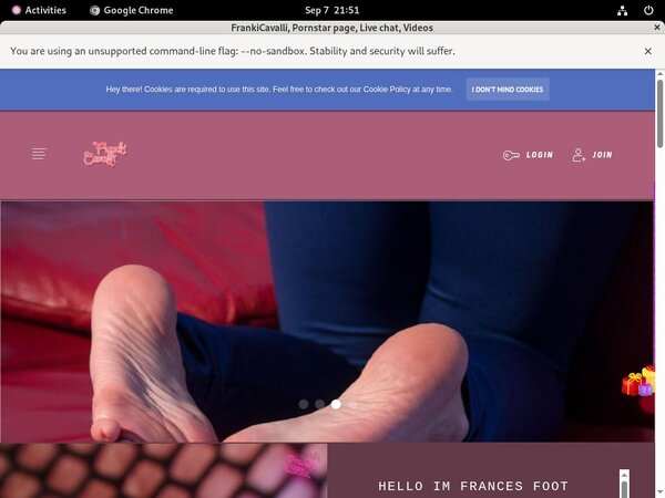 Logins For Frances.modelcentro.com Free