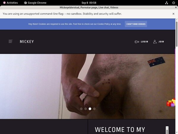 Mickeyelderstud Website Password