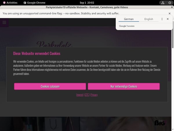 Parkplatzluder19.com Model