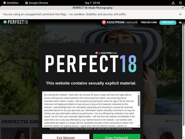 Perfect 18 Free Trial Price