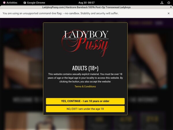 Pussy Ladyboy Login Account