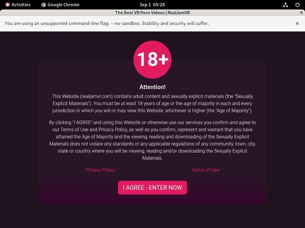 Realjamvr Discount Pass