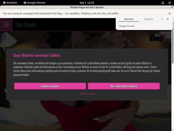 Sari Sander Get A Password