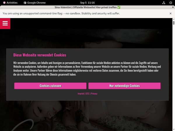 SinaValentini User And Password