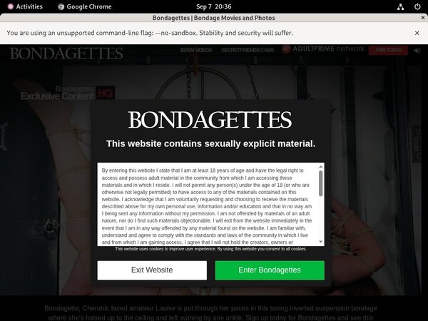Site Rip Bondagettes.com