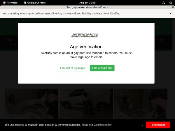 Sketboy.com Username