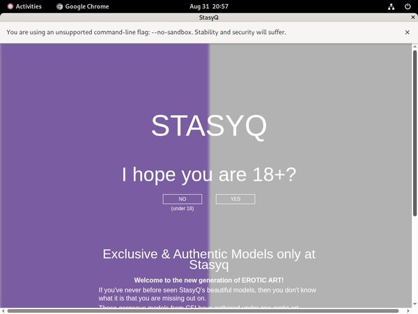 Stasyq.com Login Free