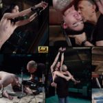 Subspace Land Day Trial Membership