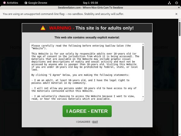Swallowsalon Vxsbill Page