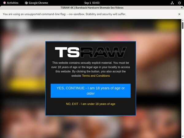 TS Raw Paiement