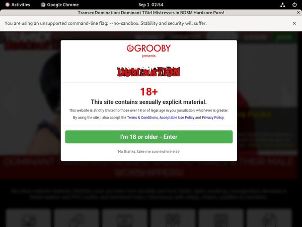Transexdomination.com Password Generator