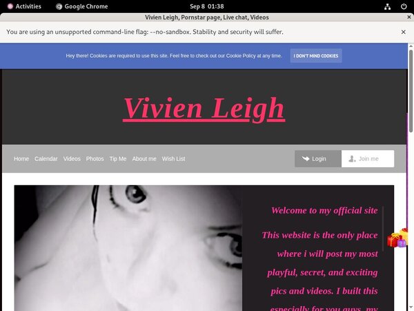 Vivienleighandme.modelcentro.com Trial Option