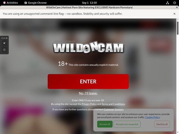 Wild On Cam Sex Videos