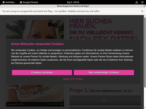 YourSecretDream Login Codes
