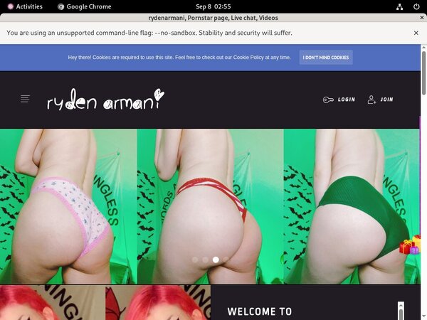 Rydenarmani.com Payment Page